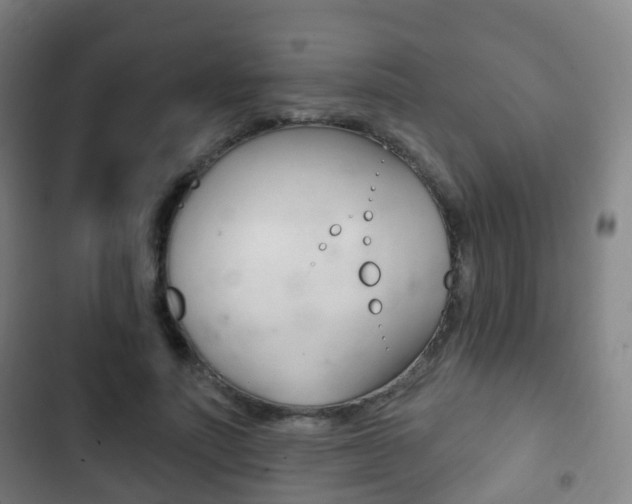 X0000103400691200809120924