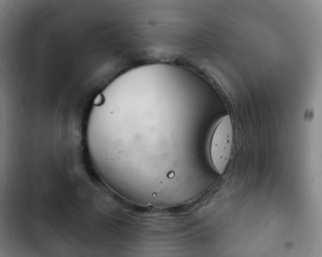 X0000103400693200809120924