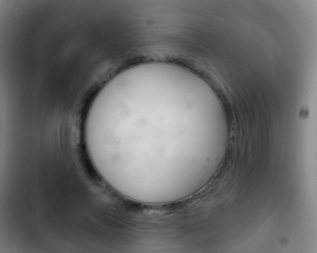 X0000103400694200809120924