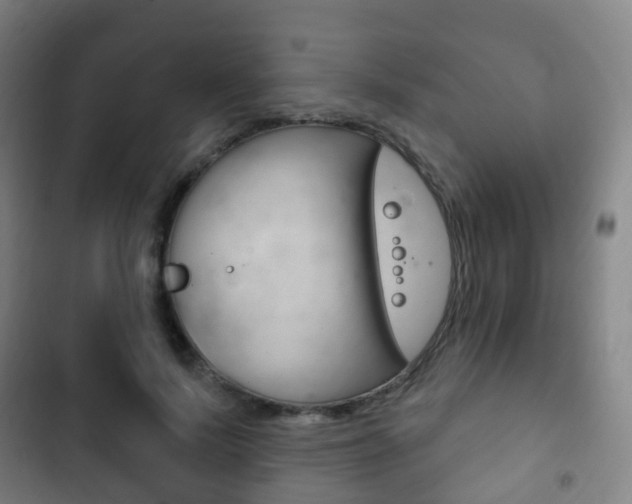 X0000103400695200809120924