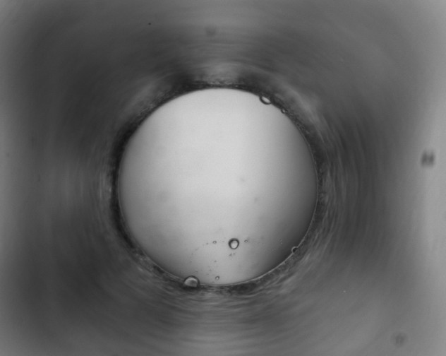 X0000103400697200809120924