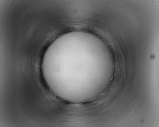 X0000103400698200809120924