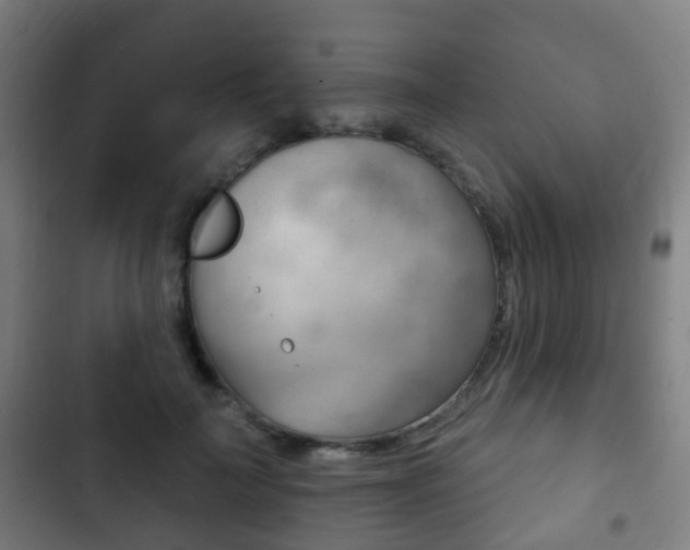 X0000103400699200809120924