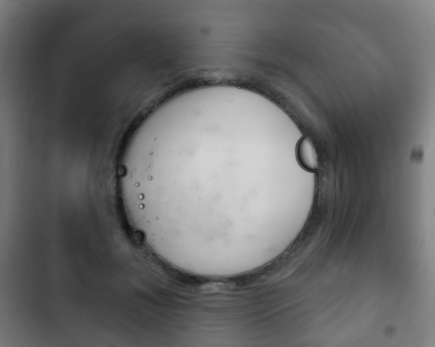 X0000103400700200809120924