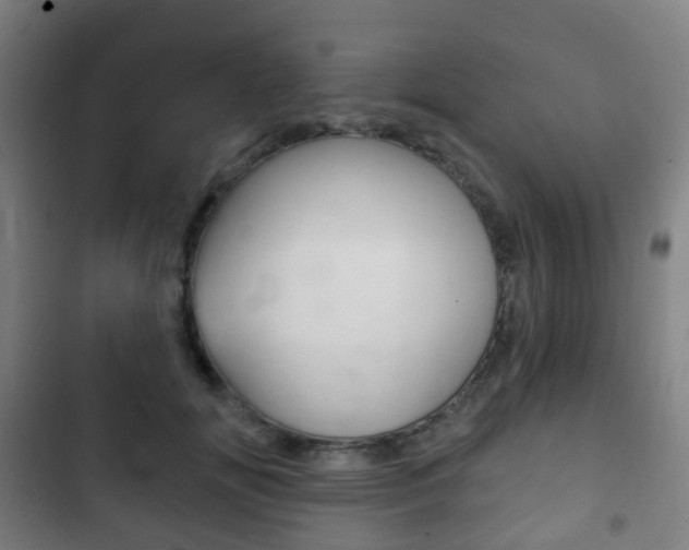 X0000103400702200809120924
