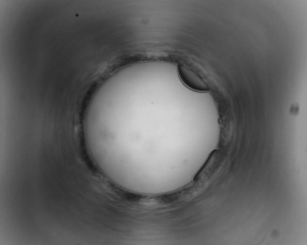 X0000103400704200809120924