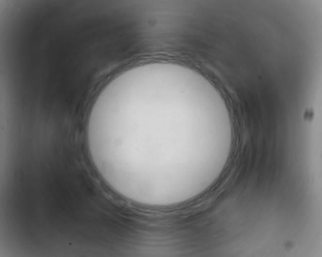 X0000103400705200809120924