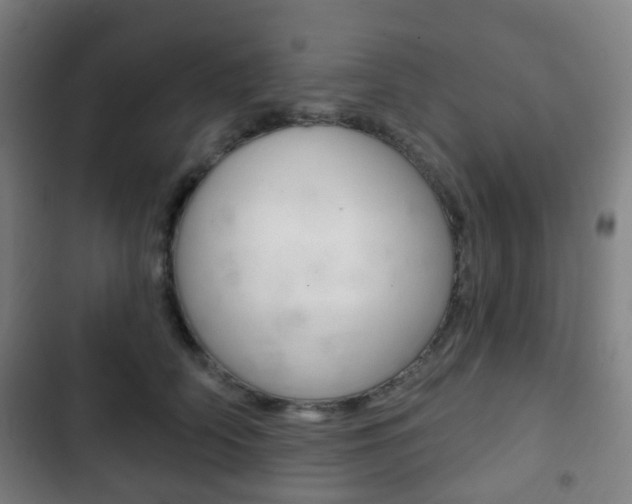 X0000103400706200809120924