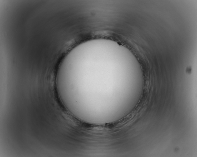 X0000103400708200809120924