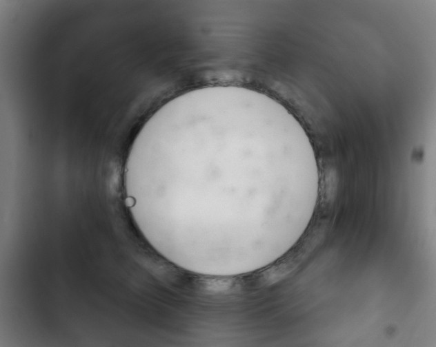 X0000103400709200809120924