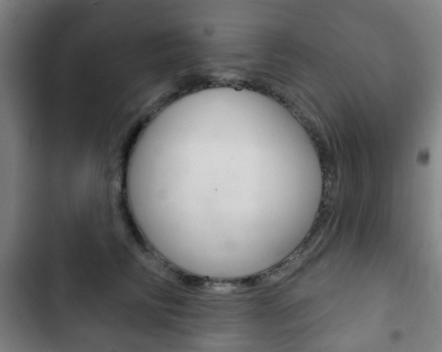 X0000103400710200809120924