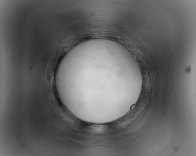 X0000103400711200809120924