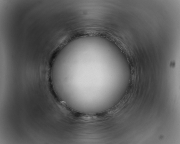 X0000103400712200809120924
