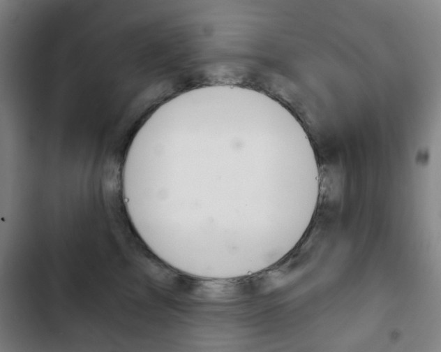X0000103400713200809120924
