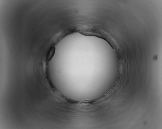 X0000103400716200809120924