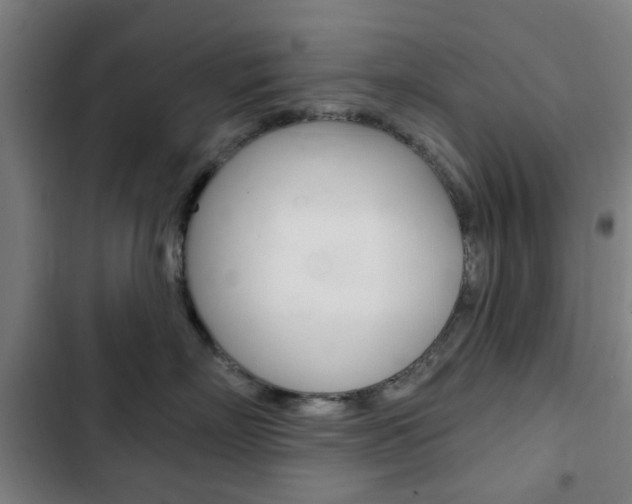 X0000103400718200809120924