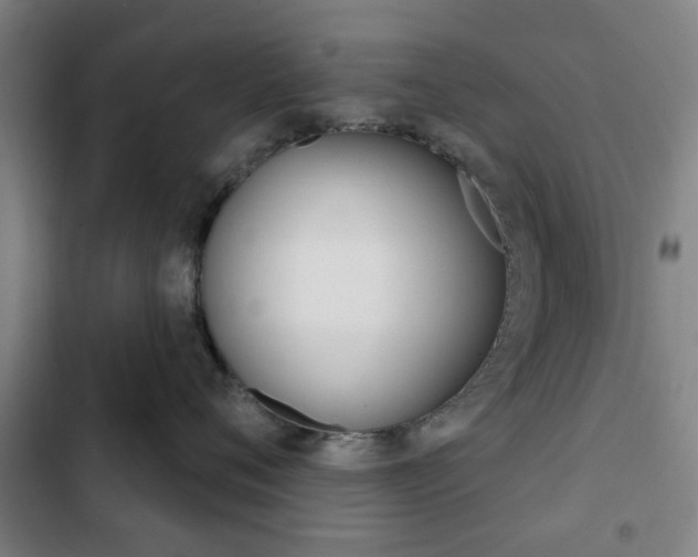 X0000103400720200809120924