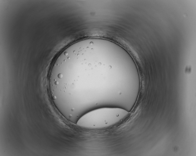 X0000103400721200809120923