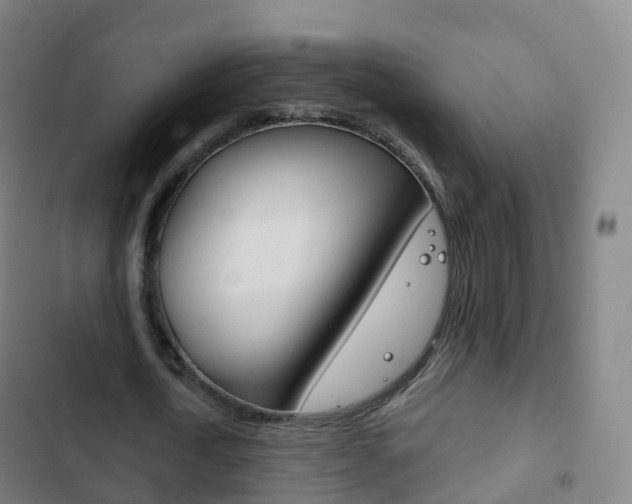 X0000103400722200809120923