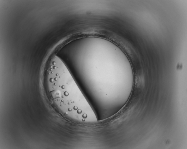 X0000103400724200809120923