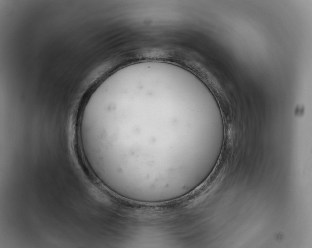 X0000103400725200809120923