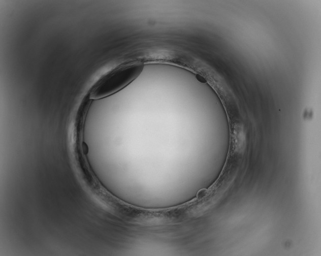 X0000103400726200809120923