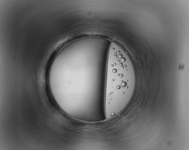 X0000103400727200809120923