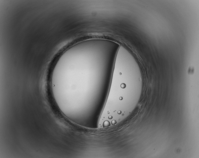 X0000103400728200809120923
