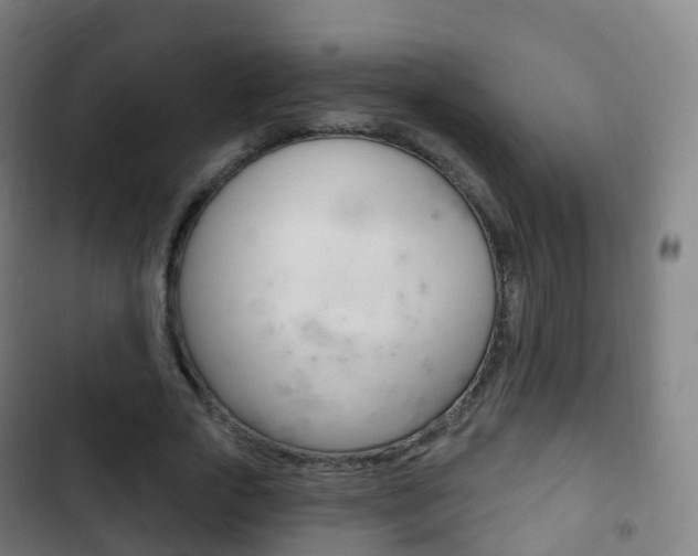 X0000103400729200809120923