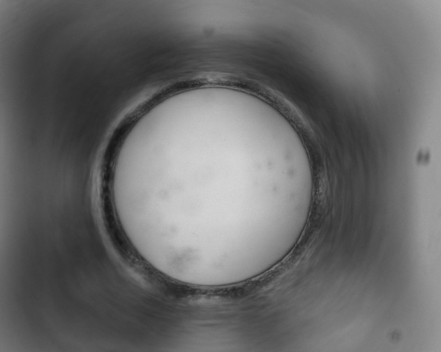 X0000103400730200809120923
