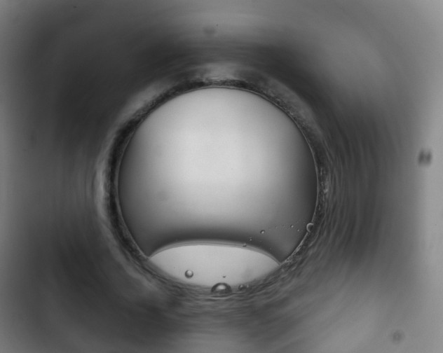 X0000103400732200809120923
