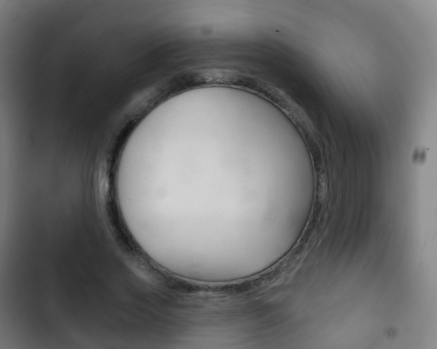 X0000103400733200809120923