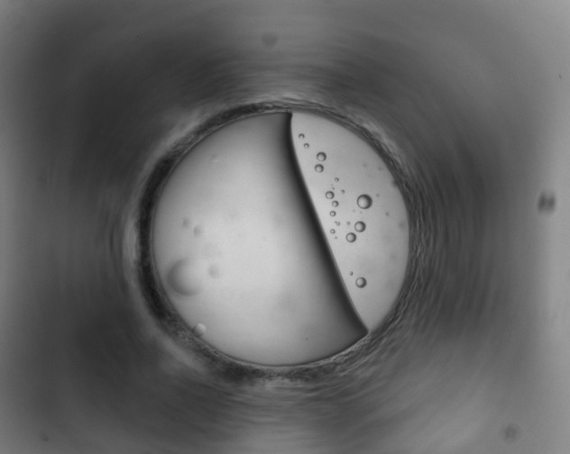X0000103400734200809120923