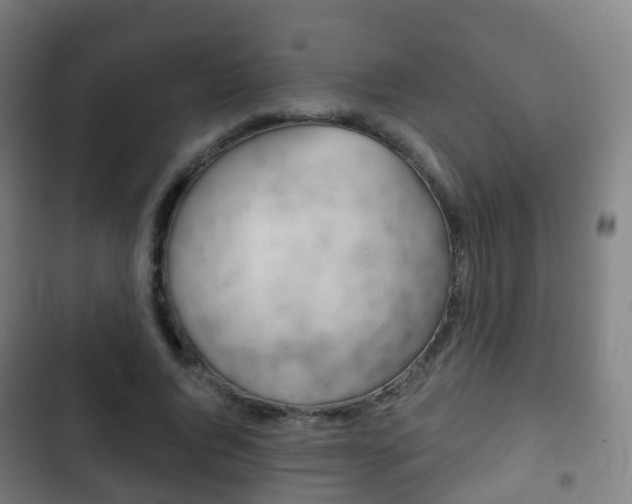 X0000103400736200809120923