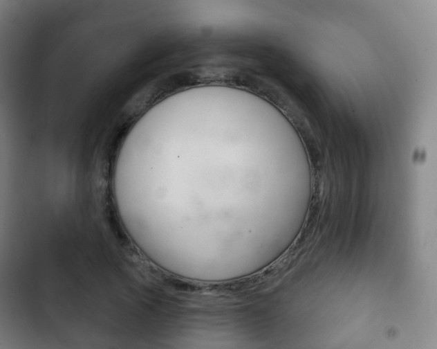 X0000103400737200809120923