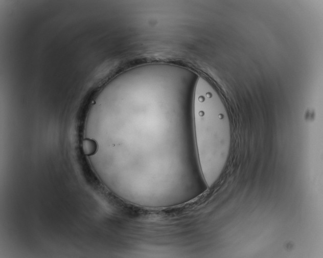 X0000103400738200809120923