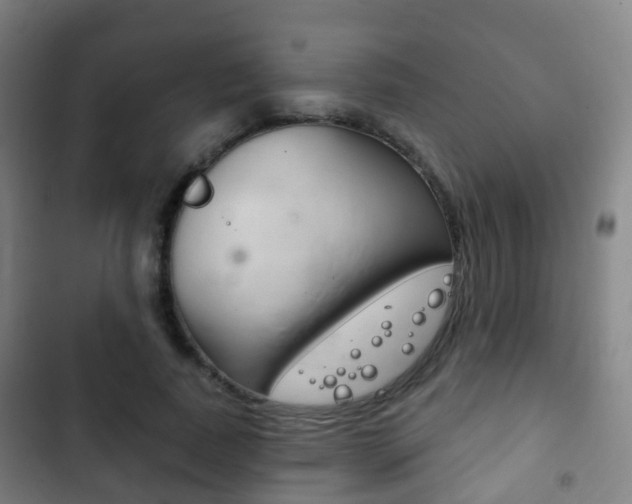 X0000103400739200809120923