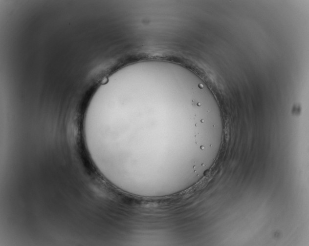 X0000103400740200809120923
