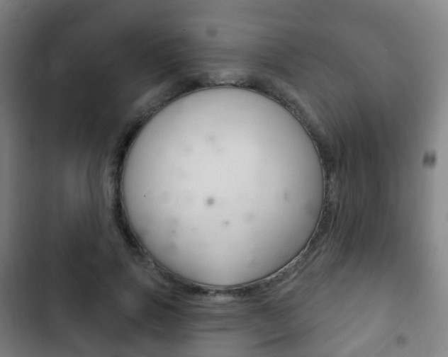 X0000103400741200809120923