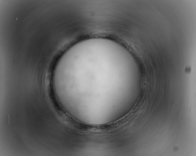 X0000103400742200809120923
