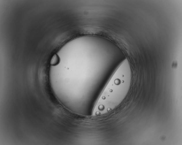 X0000103400743200809120923
