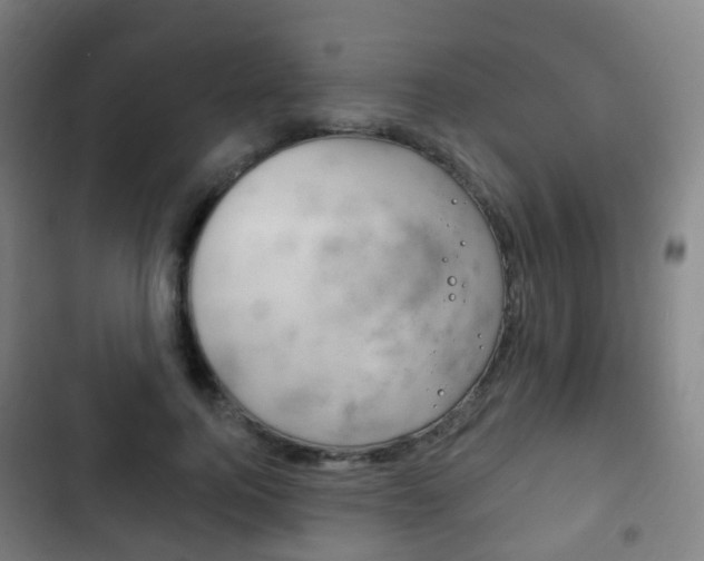 X0000103400744200809120923