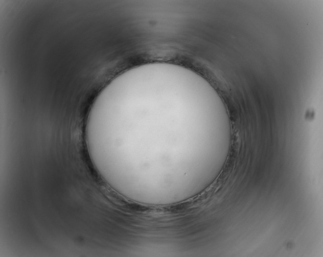 X0000103400745200809120923