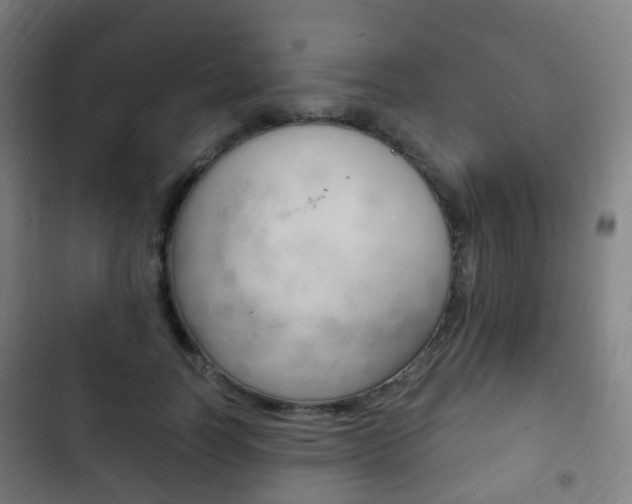 X0000103400746200809120923