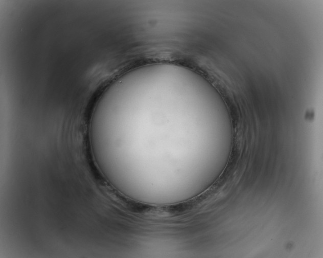 X0000103400747200809120923