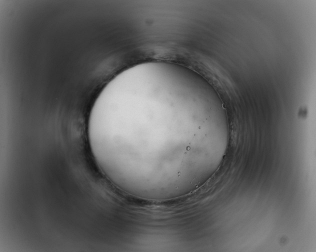 X0000103400748200809120923