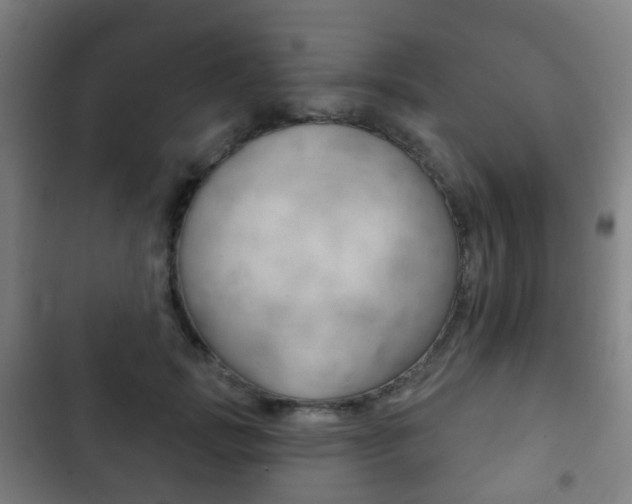 X0000103400749200809120923