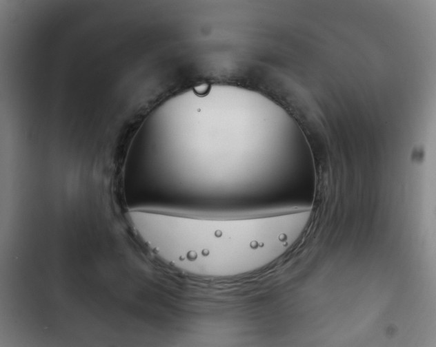 X0000103400750200809120923