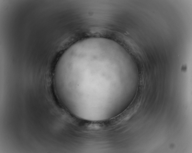 X0000103400751200809120923