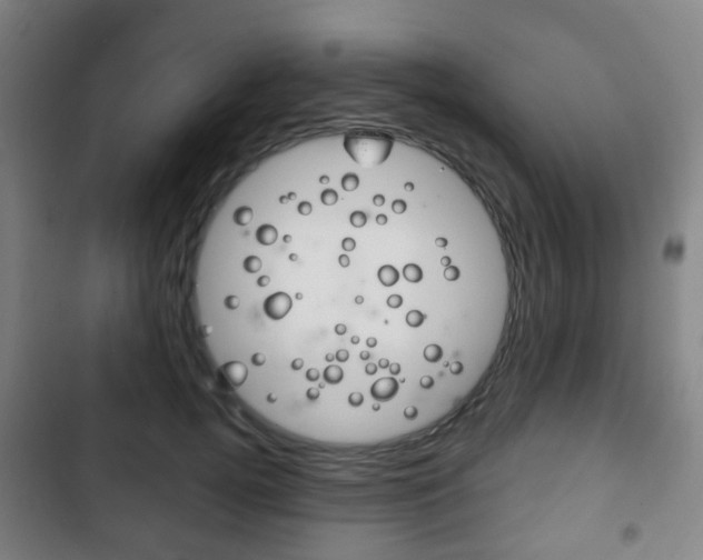 X0000103400752200809120923